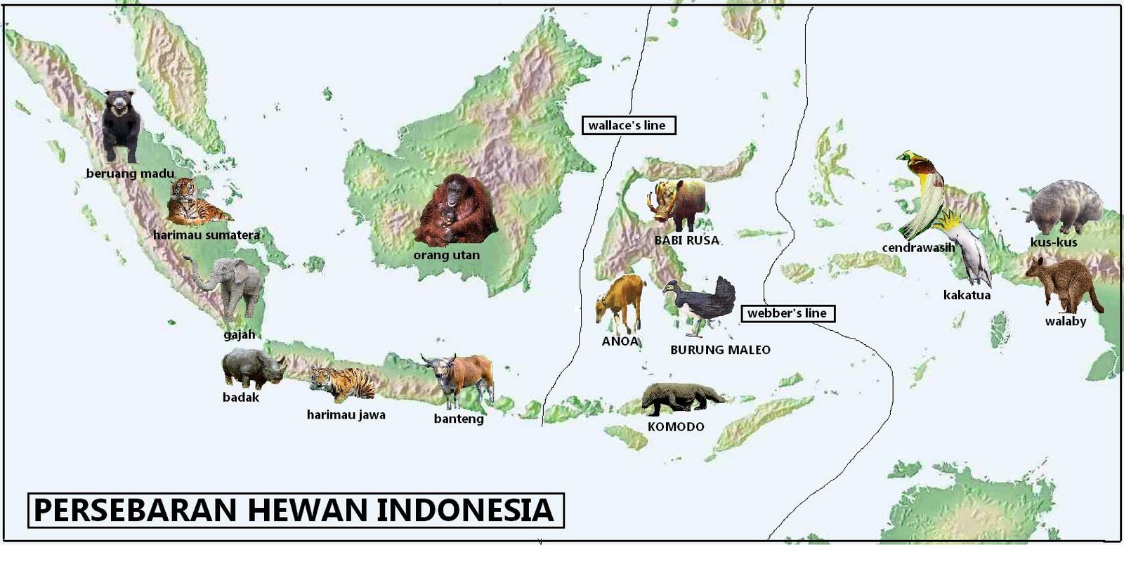 Persebaran Flora dan Fauna di Indonesia Dunia