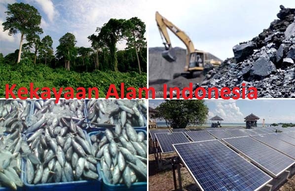 7 Kekayaan Alam Indonesia gambar pengertian contoh manfaat